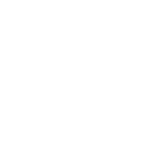 fidlock